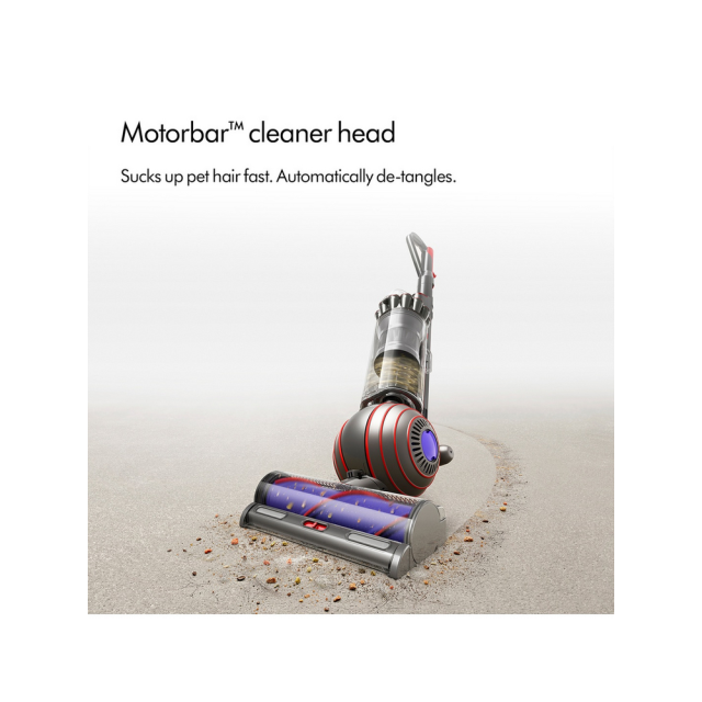 Dyson Ball Animal Origin Vacuum Cleaner