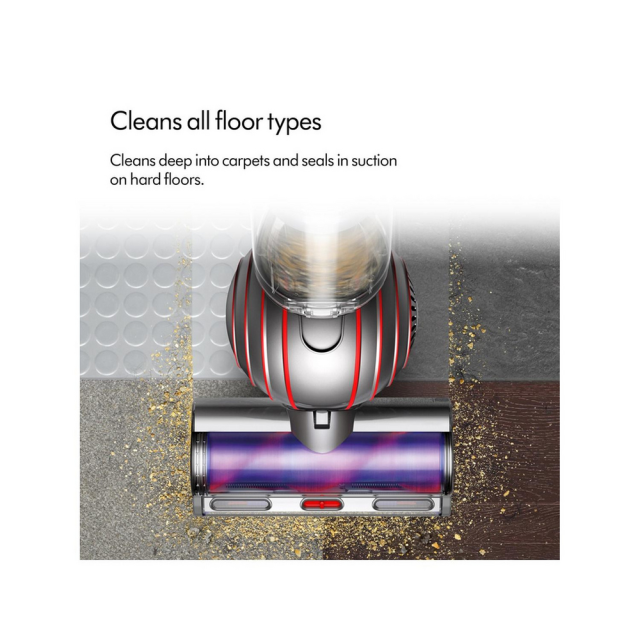 Dyson Ball Animal Origin Vacuum Cleaner